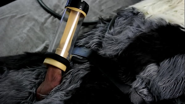 Fursuit lobo vinculado ordenha