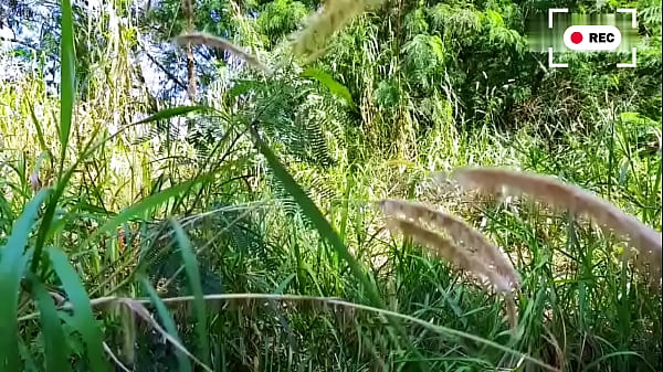 Arbeiter ficken im Busch, versteckt vor den Bossen. - EXKLUSIV AUF SHEER.COM