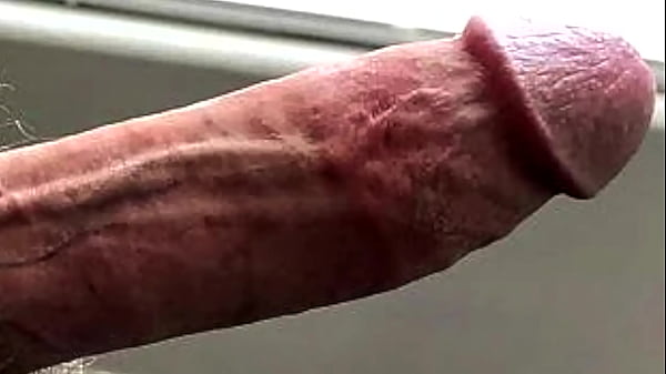 APENAS ME FODA AGORA, 6: P. TREINADOR