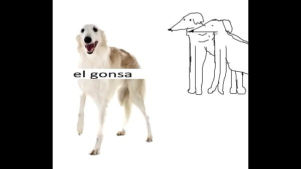 Los Borzoi - El Gonsa (singolo completo)