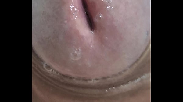 ZOOMING ON MY DOCK'S HEAD