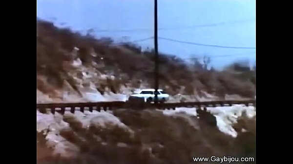 同性恋的复古口交